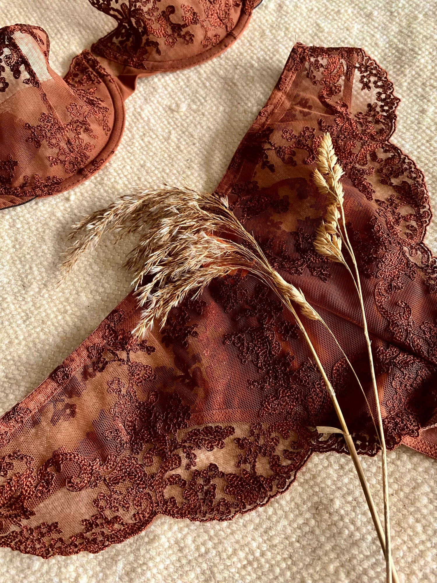 Coutille Accessories High Flyer Brazilian In Amaranth 5 Coutille Accessories High Flyer Brazilian In Amaranth