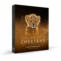 Margot Raggett Books Remembering Cheetahs
