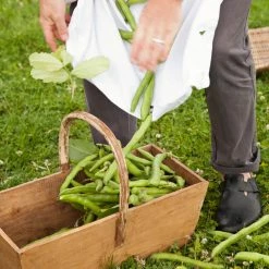 Take-a-little-thyme Experience Thyme A Seasonal Masterclass For Two