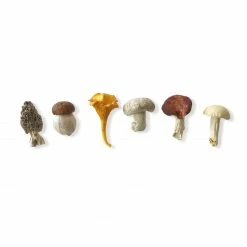 La Galine Ceramics Set Of 6 Hand Painted Mini Mushrooms