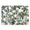 Bertioli By Thyme Table Linens Oak Leaf Linen Placemat