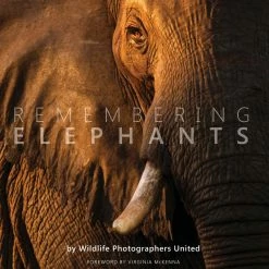 Margot Raggett Remembering Elephants Books