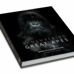 Margot Raggett Remembering Great Apes