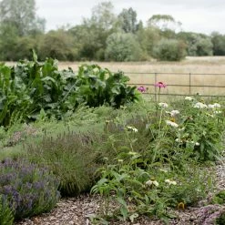 Take-a-little-thyme Voucher For A Thyme Getaway Experience Thyme