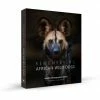 Margot Raggett Remembering Wild Dogs Books